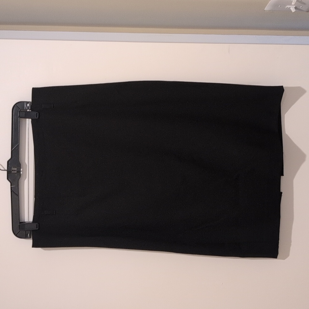 Express Pencil Skirt